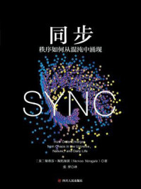 同步：秩序如何从混沌中涌现