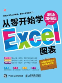 从零开始学Excel图表 职场加强版