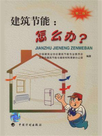 建筑节能:怎么办?(第2版)