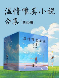 温情唯美小说合集(全30册)