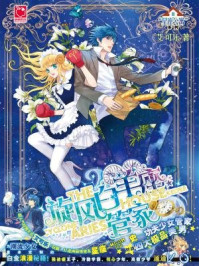 旋风白羊座管家