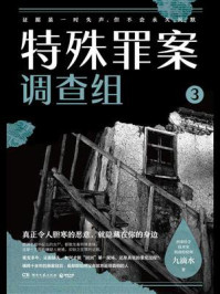 特殊罪案调查组 3