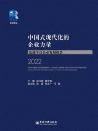 中国式现代化的企业力量:蓝迪平台企业发展报告2022