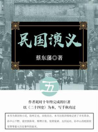 蔡东藩经典历史小说：民国演义（5）