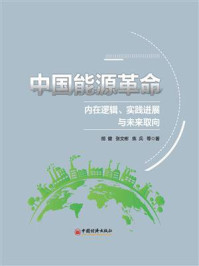 中国能源革命:内在逻辑、实践进展与未来取向