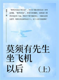 莫须有先生坐飞机以后（上）
