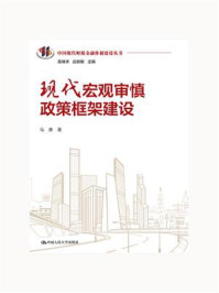 现代宏观审慎政策框架建设（中国现代财税金融体制建设丛书）