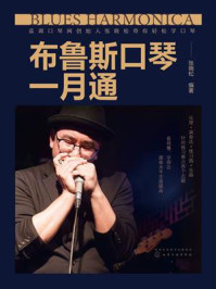 布鲁斯口琴一月通