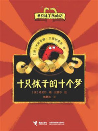 十只袜子的十个梦：单只袜子历险记