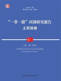 “一带一路”国别研究报告:土耳其卷