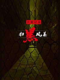 大案纪实之扫黑风暴