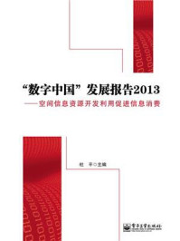 “数字中国”发展报告2013——空间信息资源开发利用促进信息消费