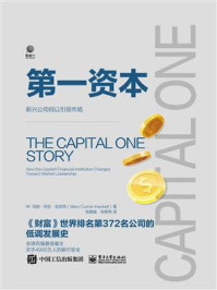 第一资本:新兴公司何以引领市场