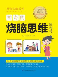 神奇的烧脑思维游戏书