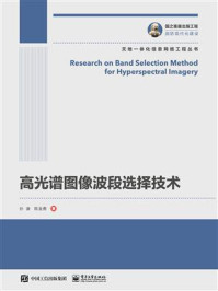 高光谱图像波段选择技术