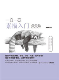 一日一画素描入门：综合篇