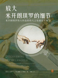 放大米开朗琪罗的细节