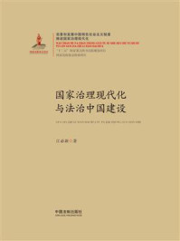 国家治理现代化与法治中国建设