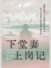 下堂妻上岗记
