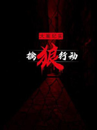 大案纪实之擒狼行动