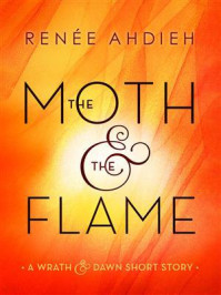 The Moth & the Flame