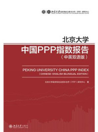 北京大学中国PPP指数报告（中英双语版）