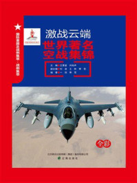 激战云端：世界著名空战集锦
