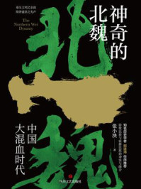 神奇的北魏