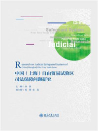 中国（上海）自由贸易试验区司法保障问题研究