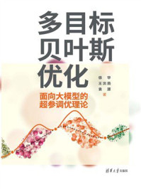 多目标贝叶斯优化：面向大模型的超参调优理论