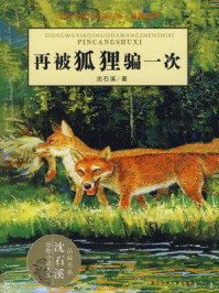 再被狐狸骗一次