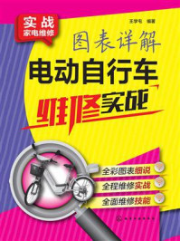 图表详解电动自行车维修实战