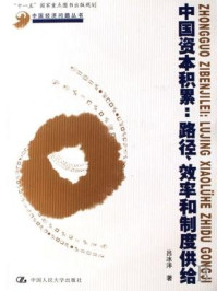 中国资本积累:路径、效率和制度供给