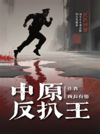 中原反扒王