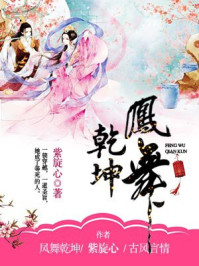 凤舞乾坤