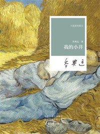 我的小井