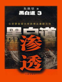 黑白道3:渗透