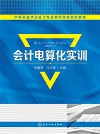 会计电算化实训