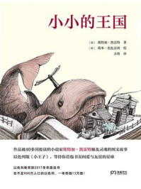小小的王国