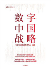 数字中国战略