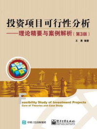 投资项目可行性分析：理论精要与案例解析（第3版）