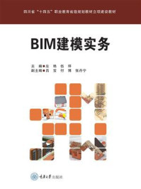 BIM建模实务