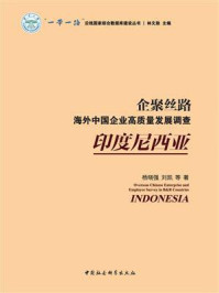 企聚丝路：海外中国企业高质量发展调查（印度尼西亚）