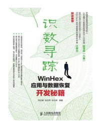 识数寻踪(WinHex应用与数据恢复开发秘籍)