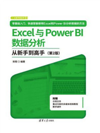 Excel与Power BI数据分析从新手到高手(第2版)