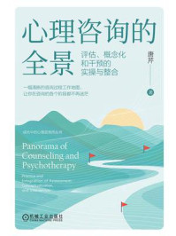 心理咨询的全景:评估、概念化和干预的实操与整合