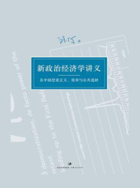 新政治经济学讲义:在中国思索正义、效率与公共选择
