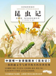 昆虫记6：松毛虫的行进行列