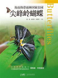 海南热带雨林国家公园尖峰岭蝴蝶