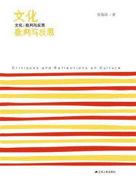 文化:批判与反思